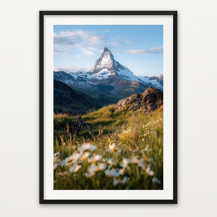 Matterhorn Wildflowers II