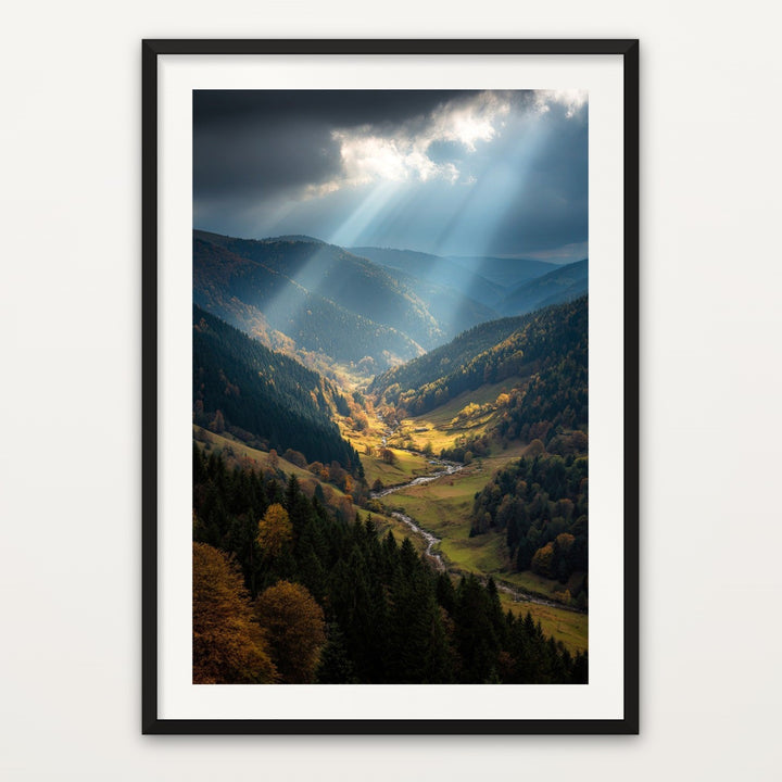 Black Forest Valley