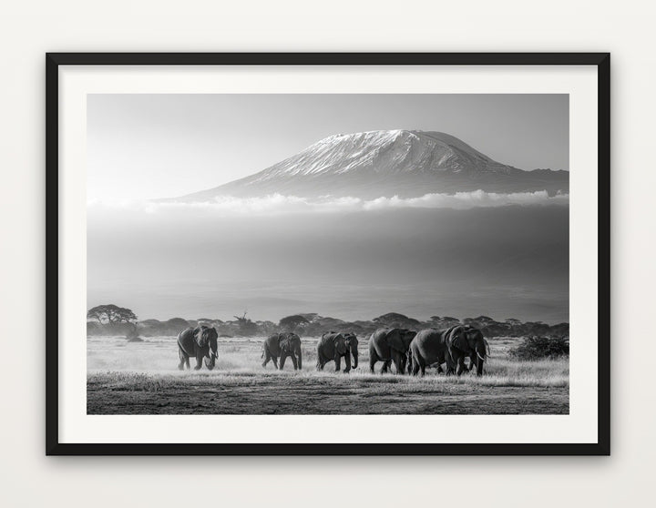 Elephants Below Kilimanjaro