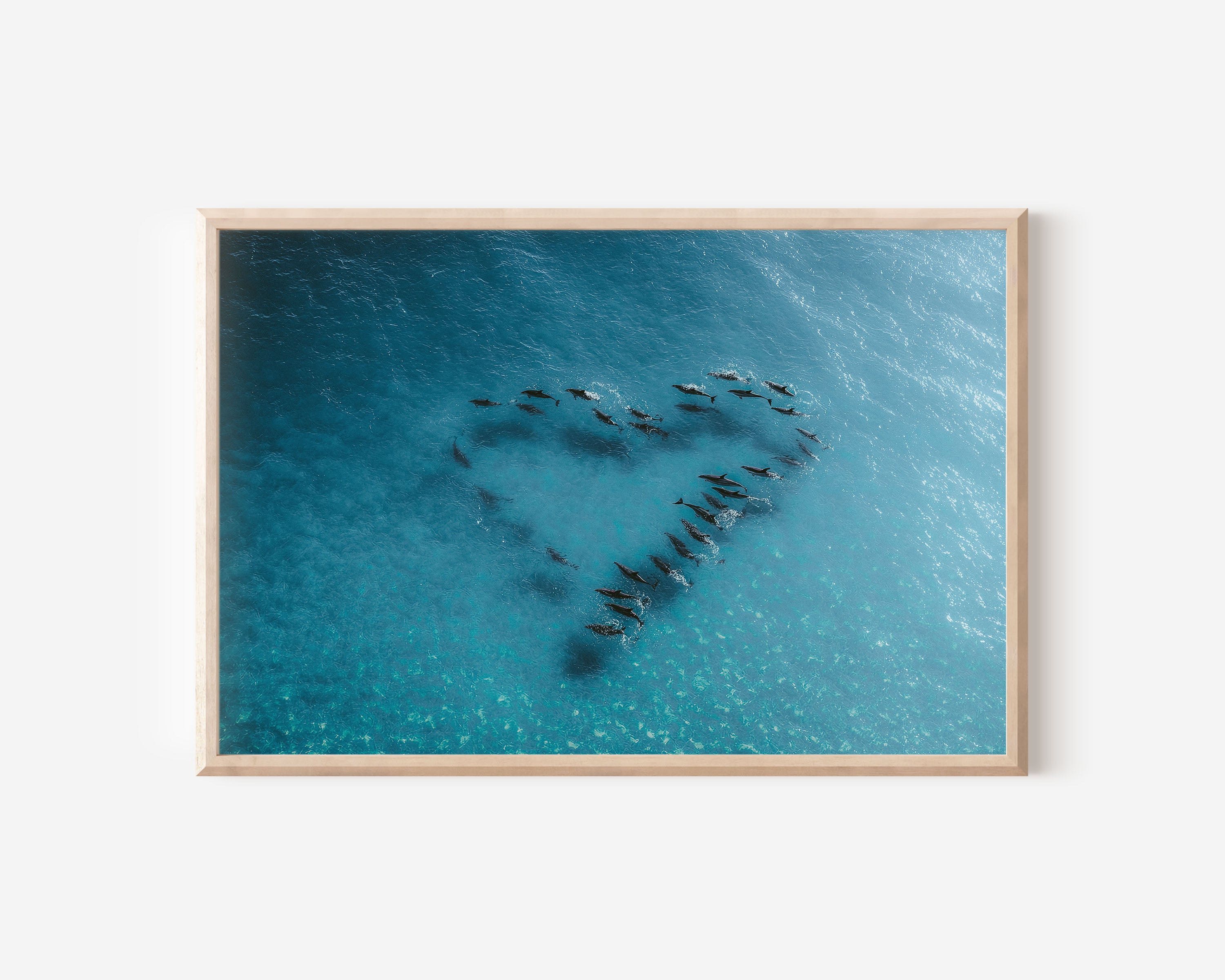 Dolphin Heart Formation Aerial Ocean Wall Art Print