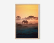 African Elephant Sunrise Canvas Print – Safari Wildlife Wall Art