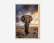 African Elephant Wall Art | Safari Wildlife Sunset Print