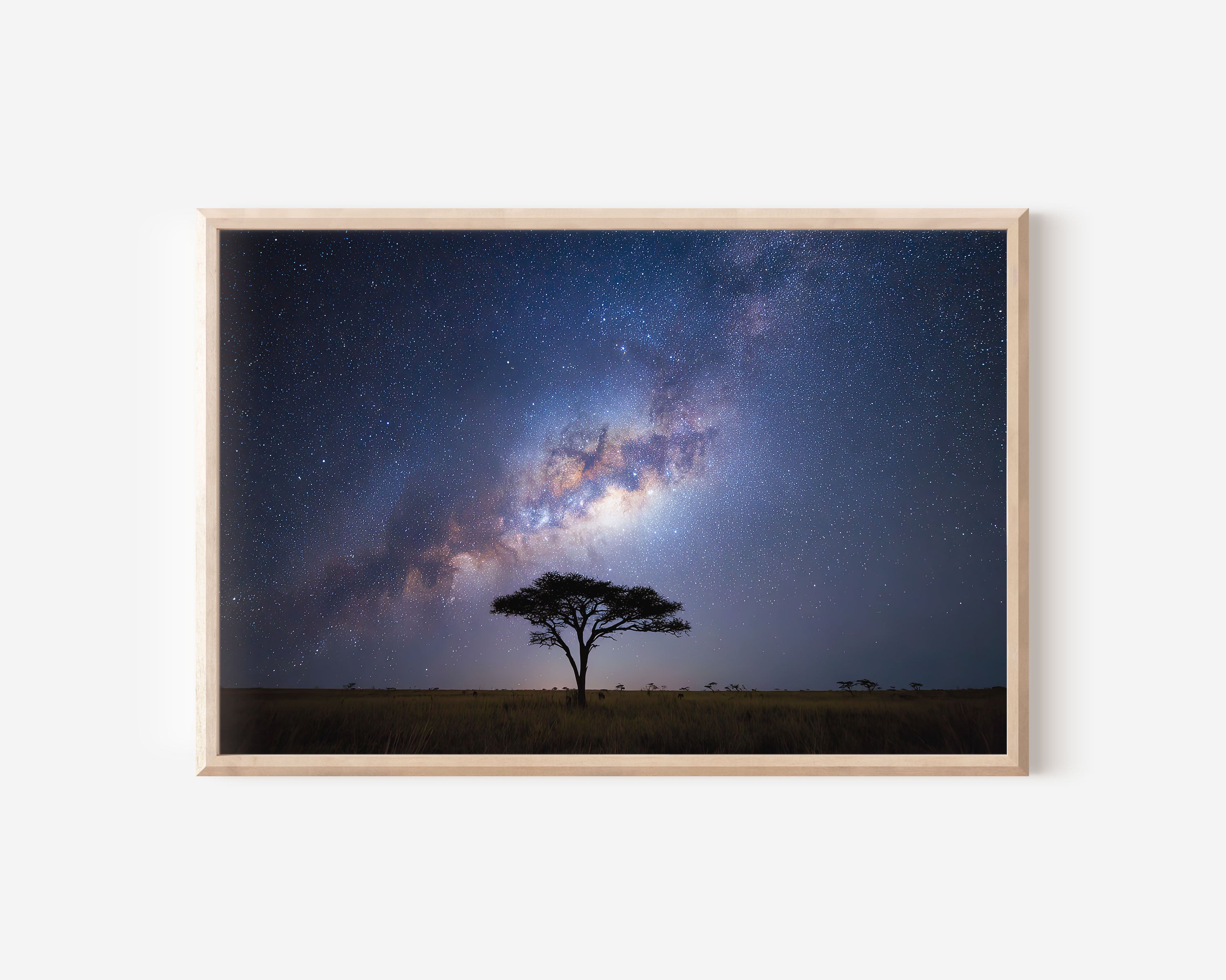 African Milky Way Lone Tree Wall Art – Night Sky Landscape Print