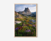 Alpine Wildflower Meadow Wall Art Print | Sierra Nevada Mountain Photography | Ritter Peak California Nature Poster