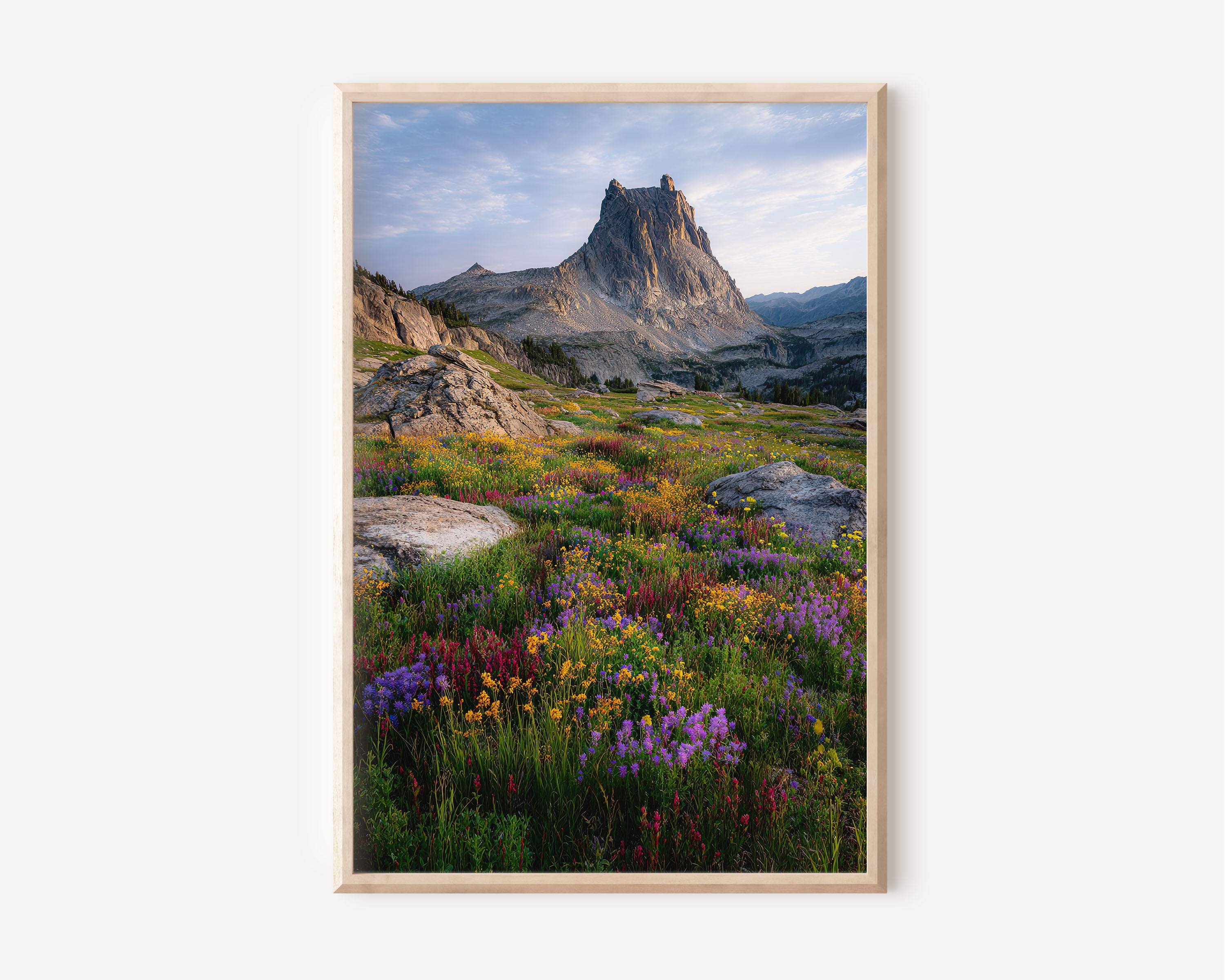 Alpine Wildflower Meadow Wall Art Print | Sierra Nevada Mountain Photography | Ritter Peak California Nature Poster