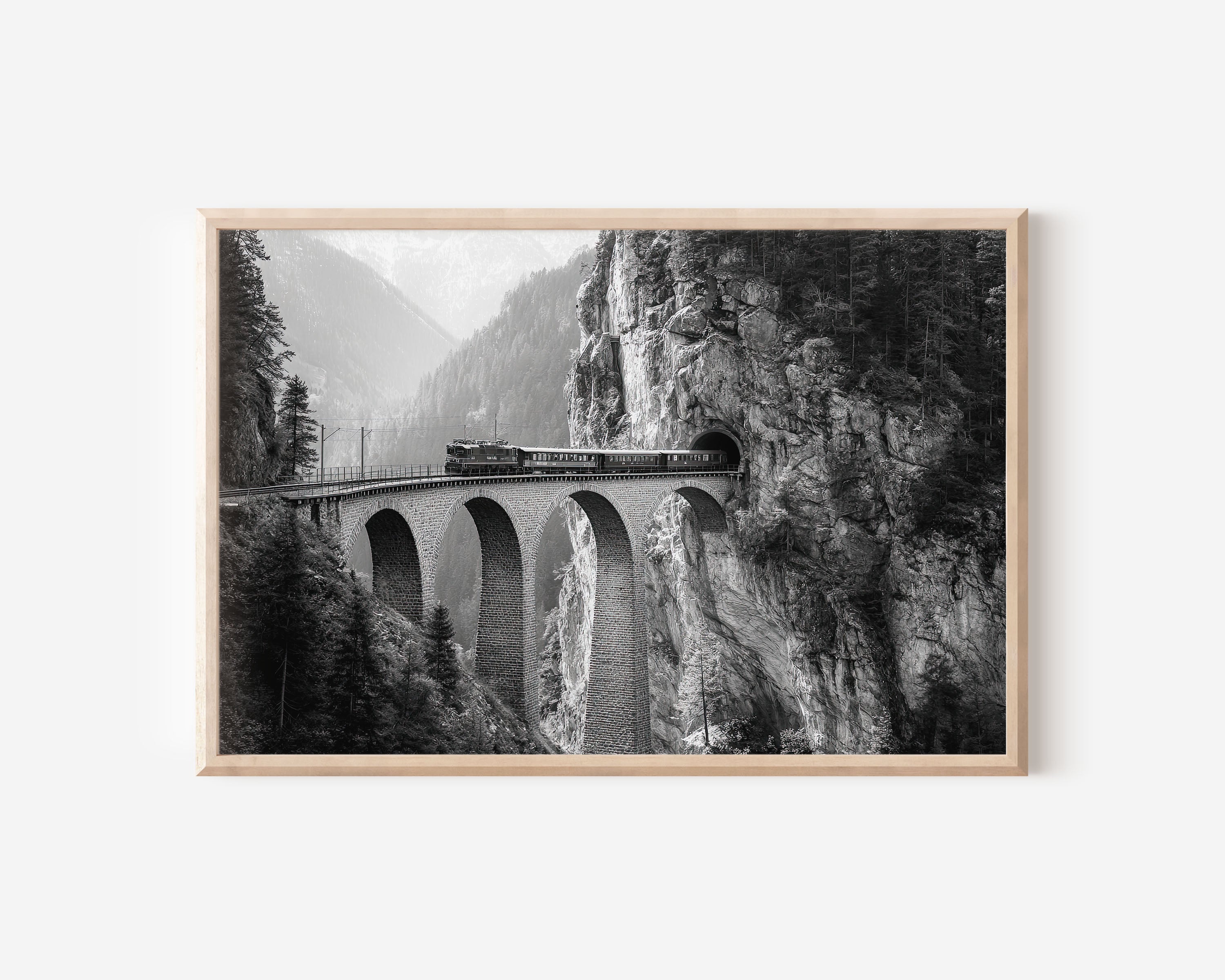 Alpine Train Viaduct Black and White Canvas Print