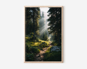 Alpine Forest Sun Rays Print | Misty Forest Path Wall Art | Mountain Forest Light Beam Landscape Photography Poster