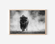 American Bison Black & White Wildlife Wall Art
