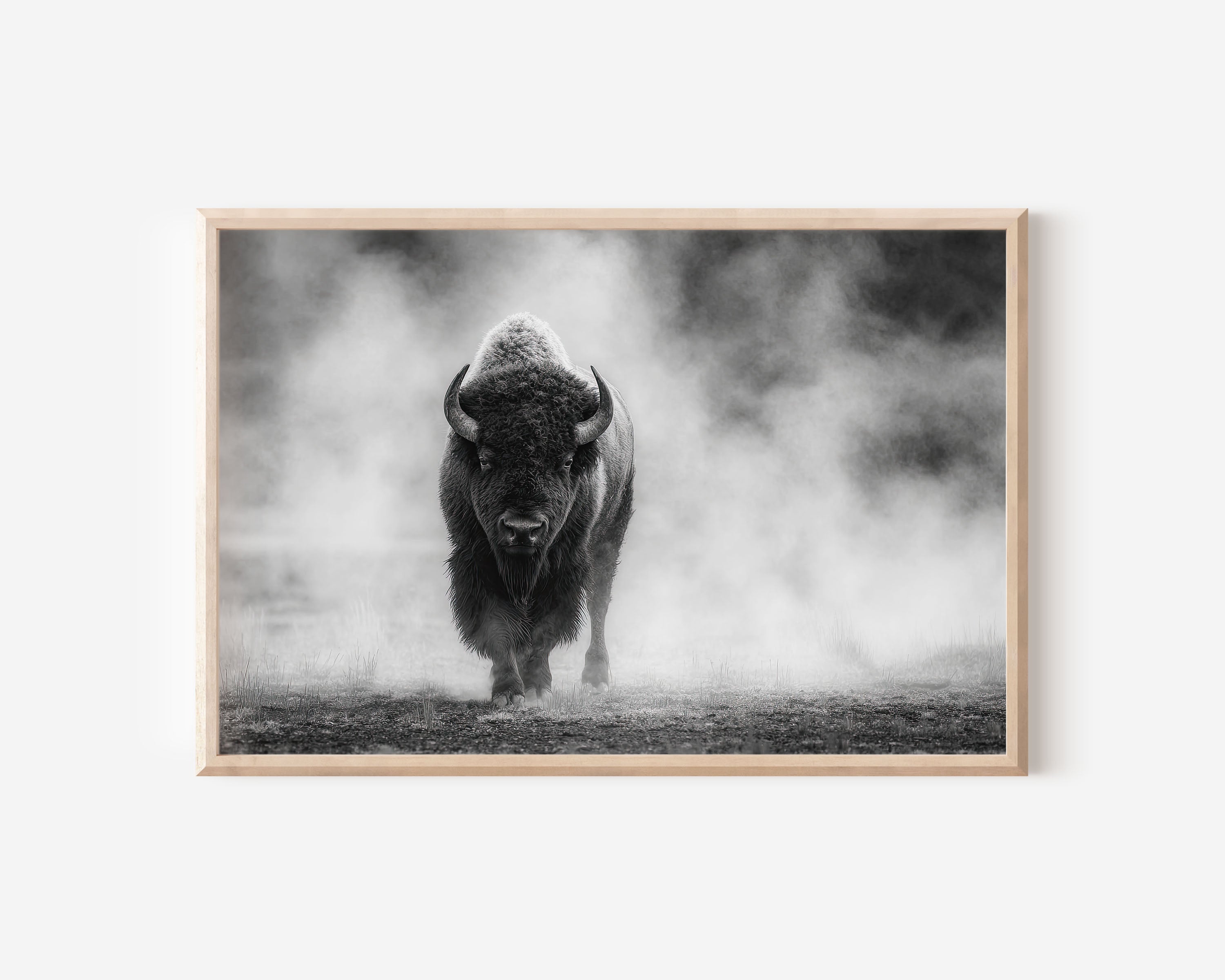 American Bison Black & White Wildlife Wall Art