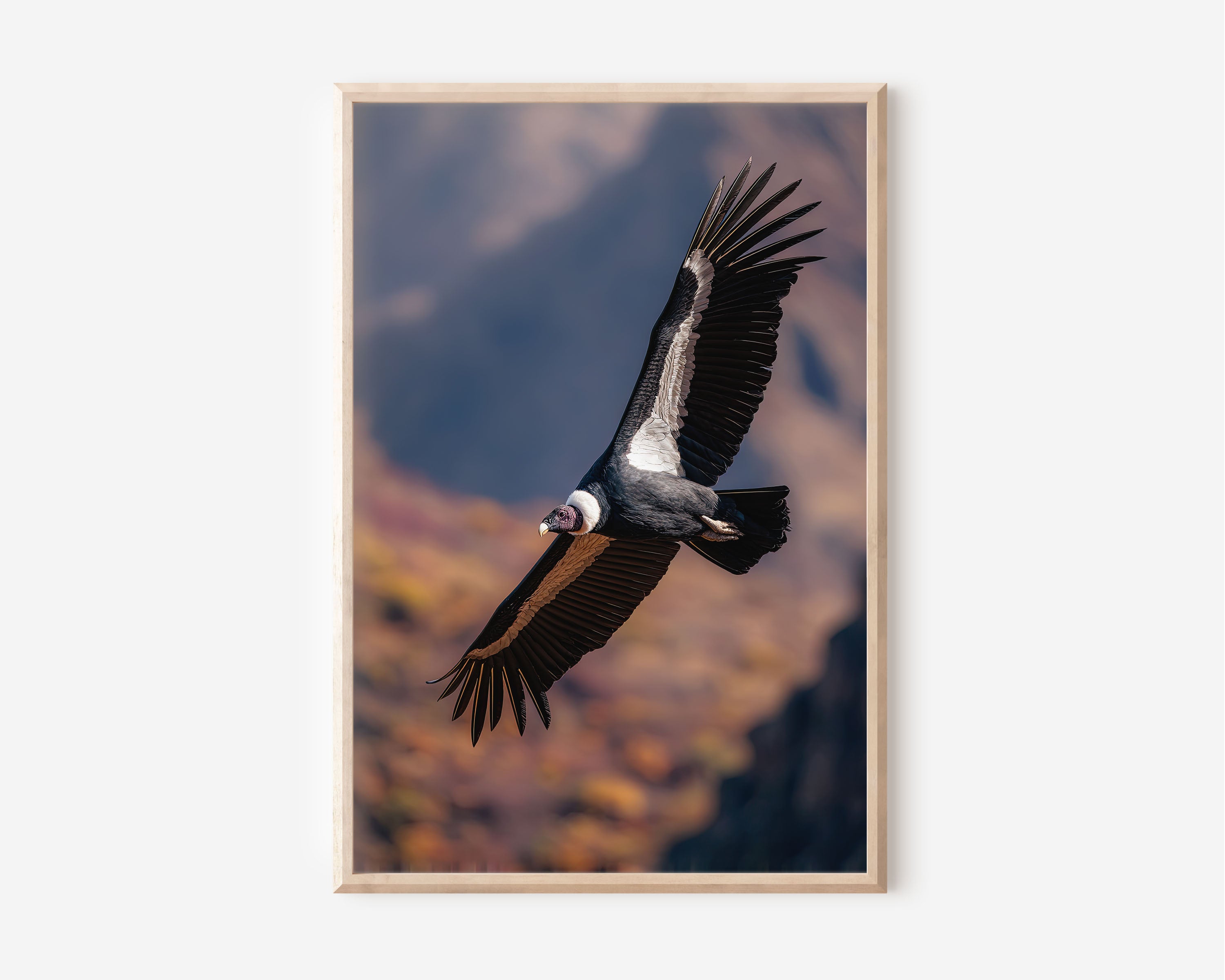 Andean Condor Wall Art Print – Majestic Bird Flight Canvas & Framed Mountain Wildlife Decor