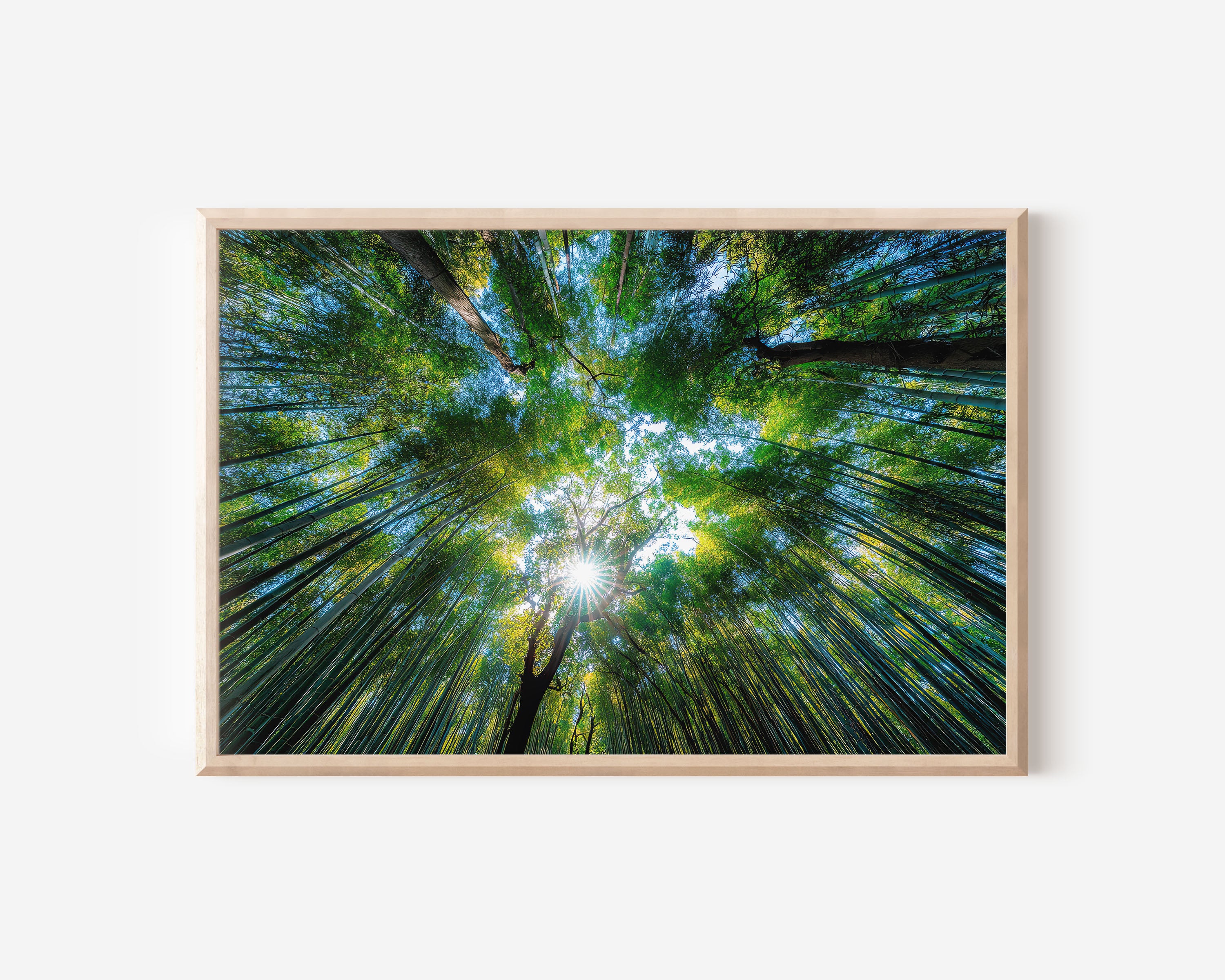 Arashiyama Bamboo Forest Wall Art Print – Kyoto Japan Nature Canvas