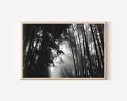 Arashiyama Bamboo Forest Kyoto Japan Wall Art Print, Black White Nature