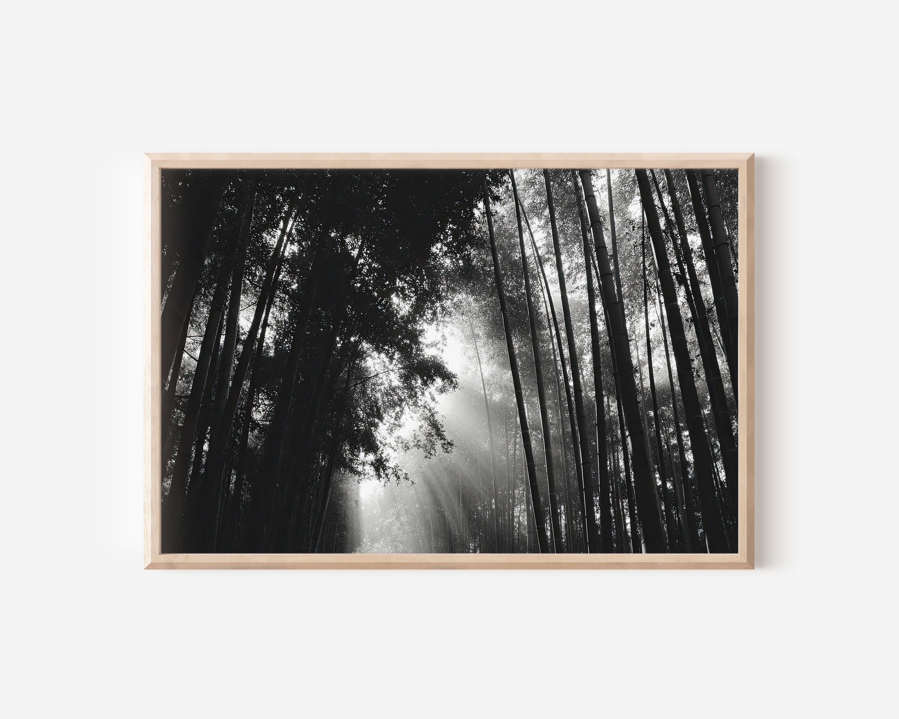Arashiyama Bamboo Forest Kyoto Japan Wall Art Print, Black White Nature