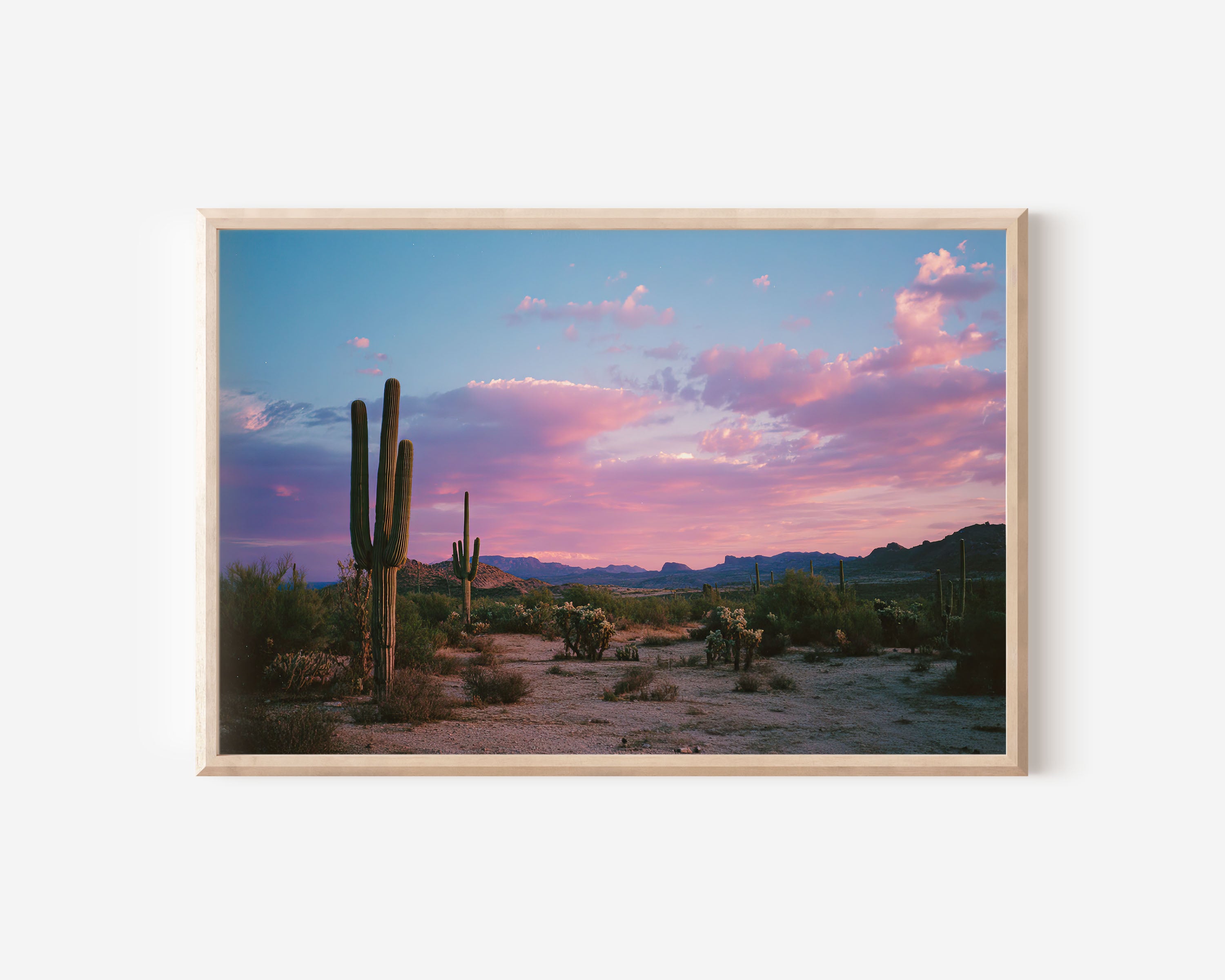 Arizona Desert Sunset Wall Art
