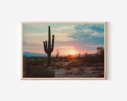 Arizona Saguaro Cactus Sunset Wall Art