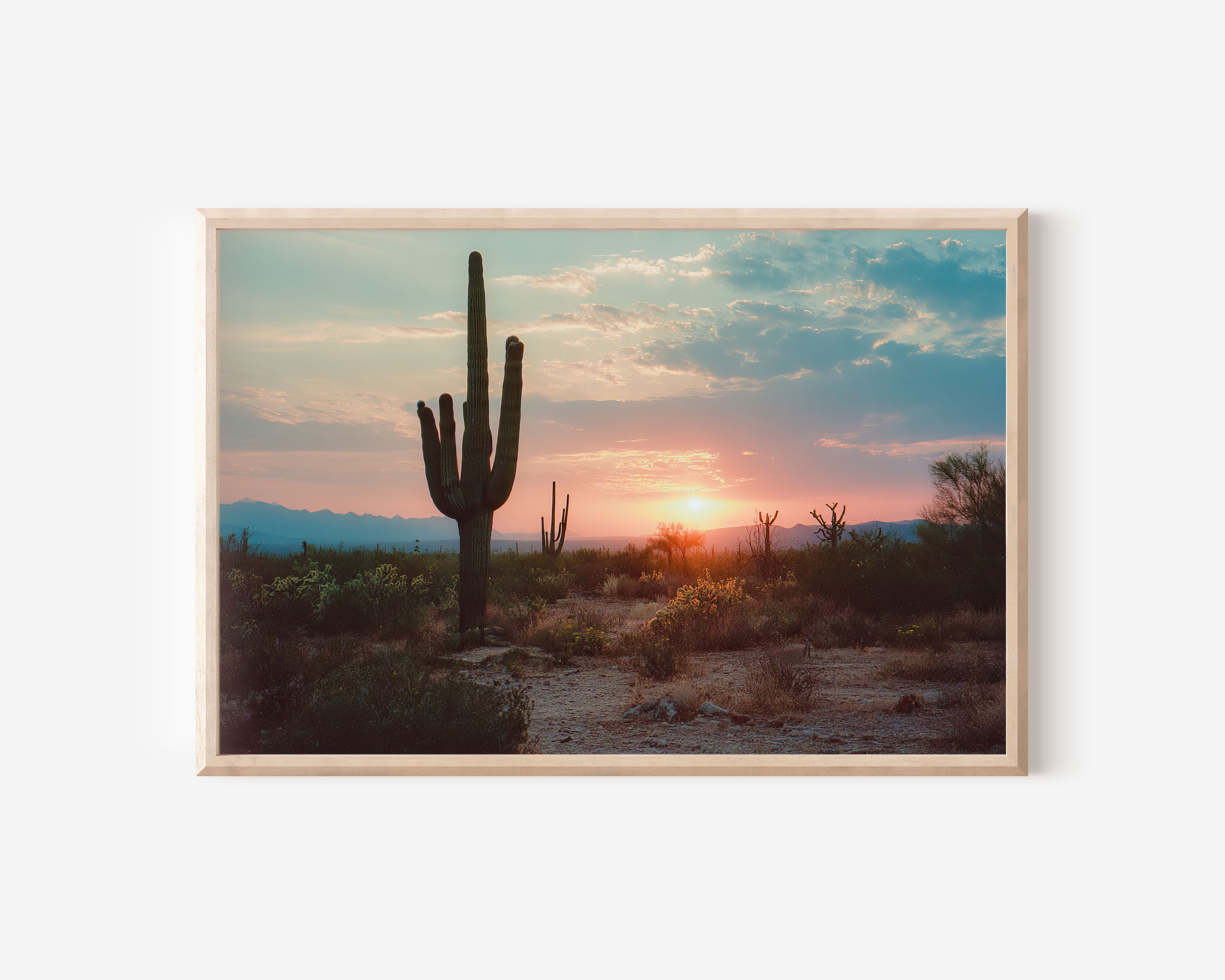 Arizona Saguaro Cactus Sunset Wall Art