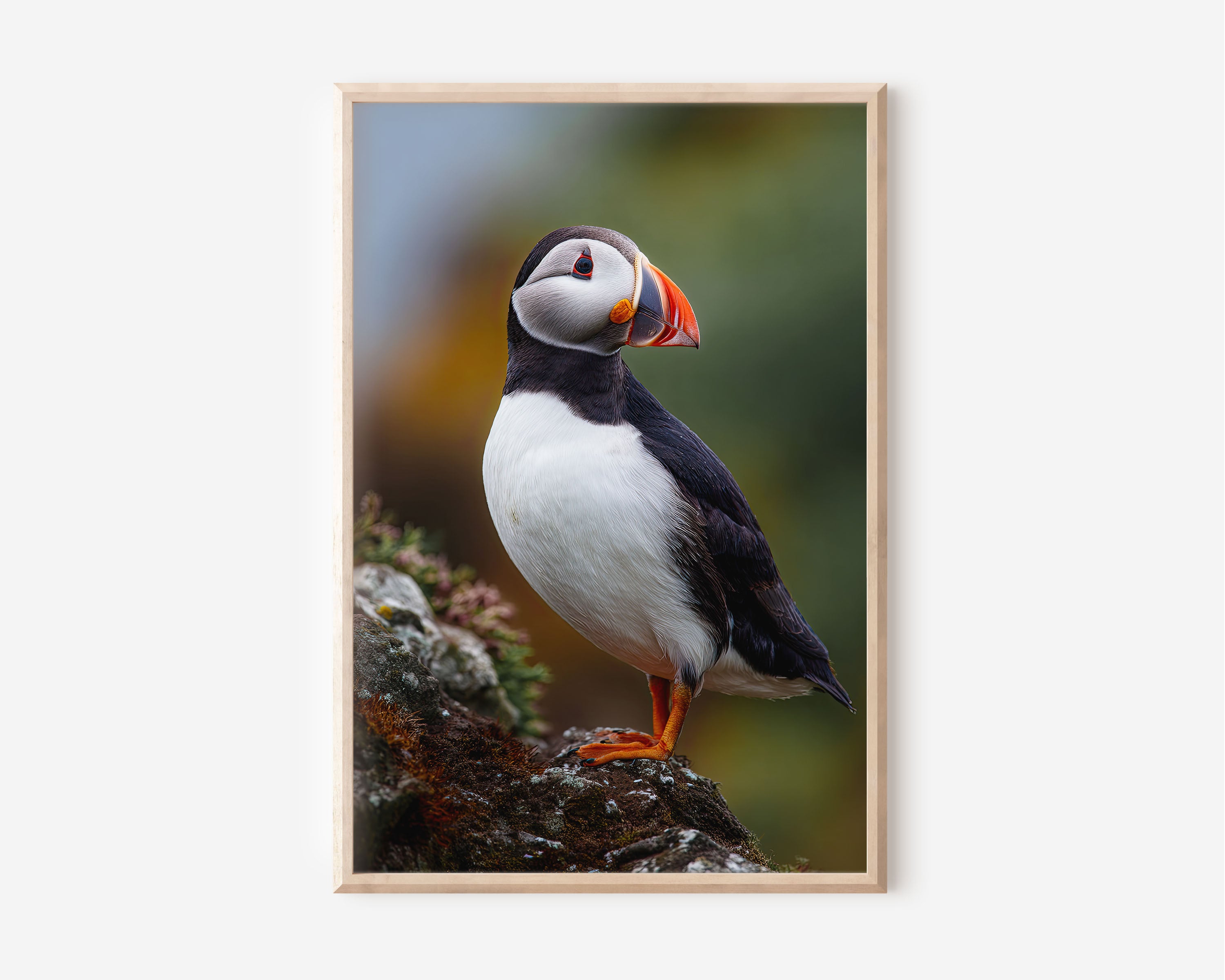 Atlantic Puffin Wall Art – Coastal Bird Canvas Print, Colorful Wildlife Decor