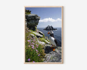 Atlantic Puffin Wall Art Print – Coastal Cliffside Wildlife Canvas & Framed Ocean Landscape Decor