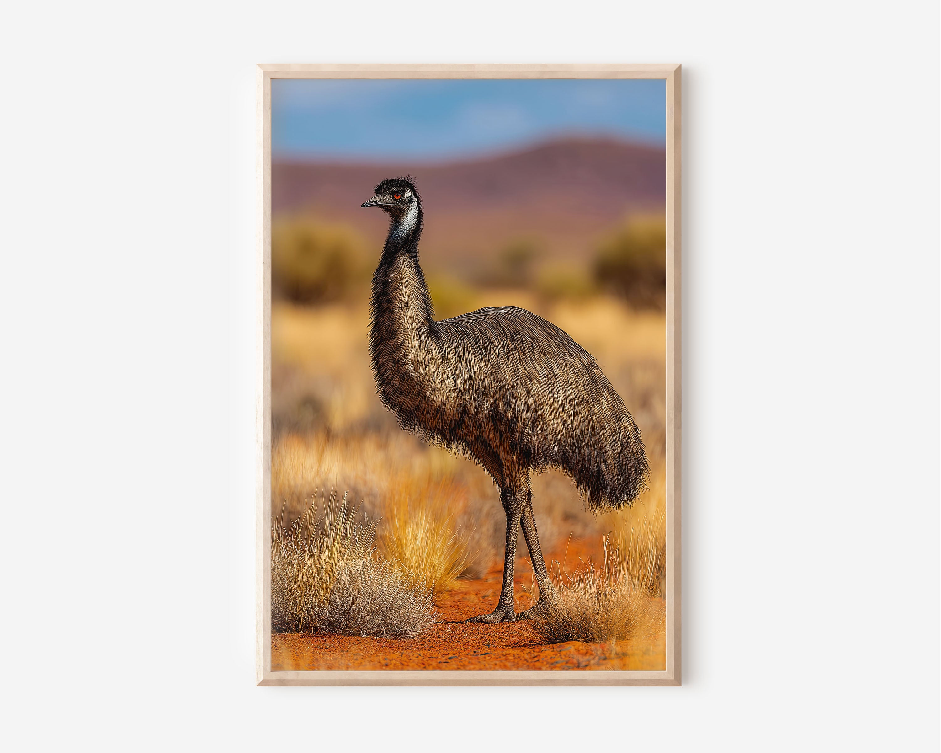 Australian Emu Wall Art | Outback Wildlife Nature Print