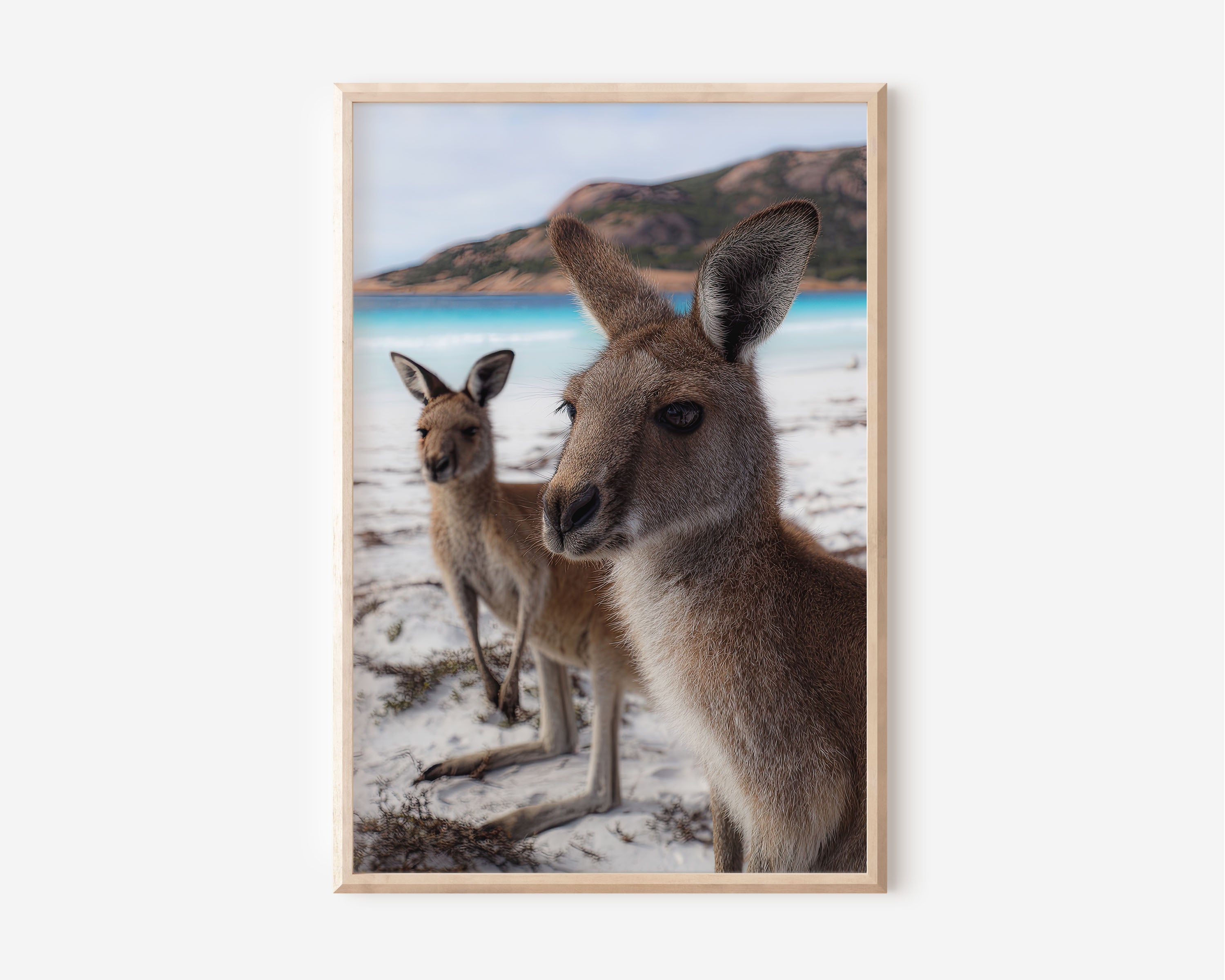 Australian Kangaroo Beach Wall Art Print – Coastal Wildlife Canvas & Framed Art, Ocean Landscape Decor