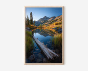 Autumn Alpine Pond Log Reflection Wall Art Print | Colorado Rocky Mountain Photography | Fall Foliage Wilderness Lake Poster