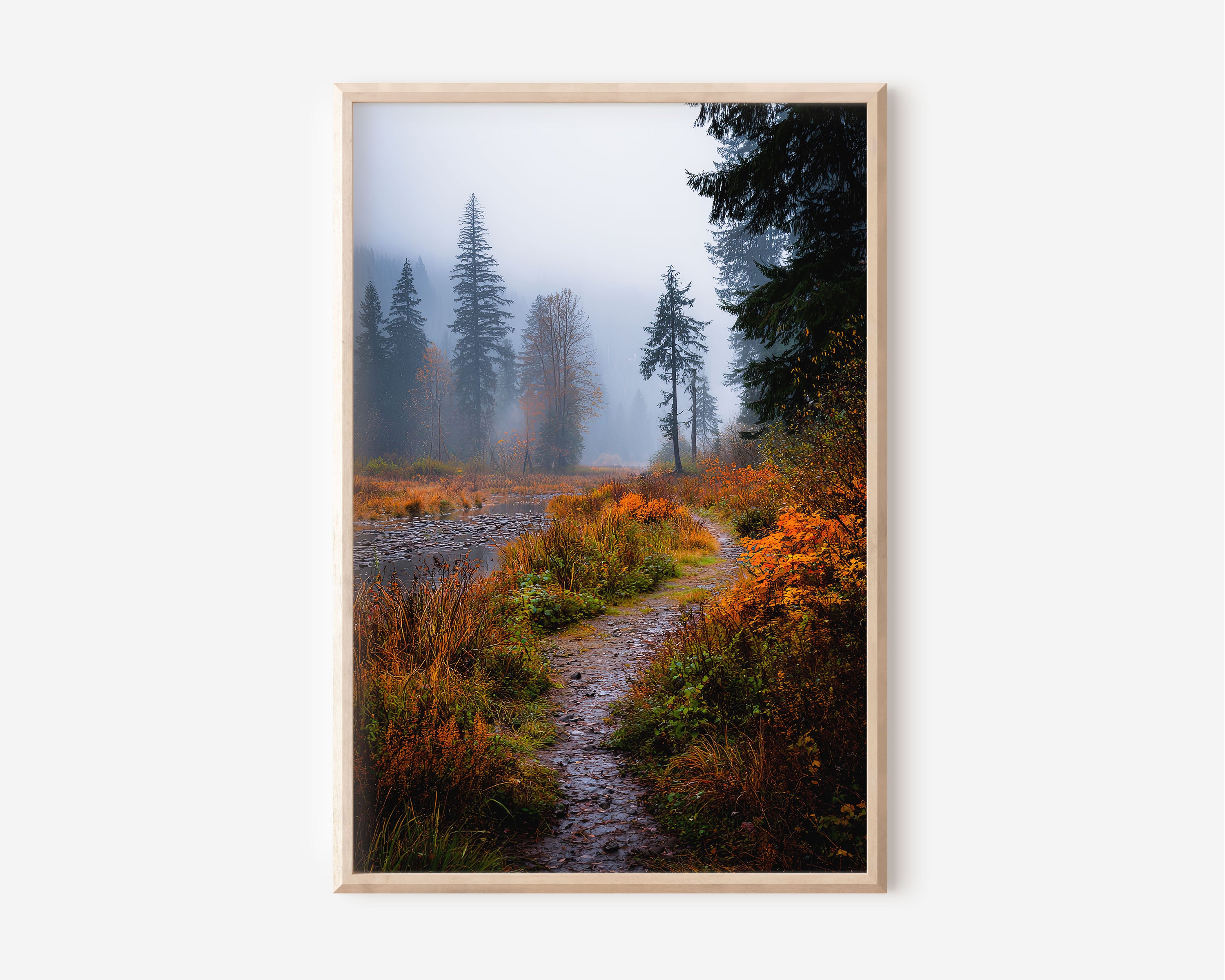 Autumn Foggy Forest Trail Wall Art Print | Pacific Northwest Misty Woodland Photography | Fall Foliage River Path Poster