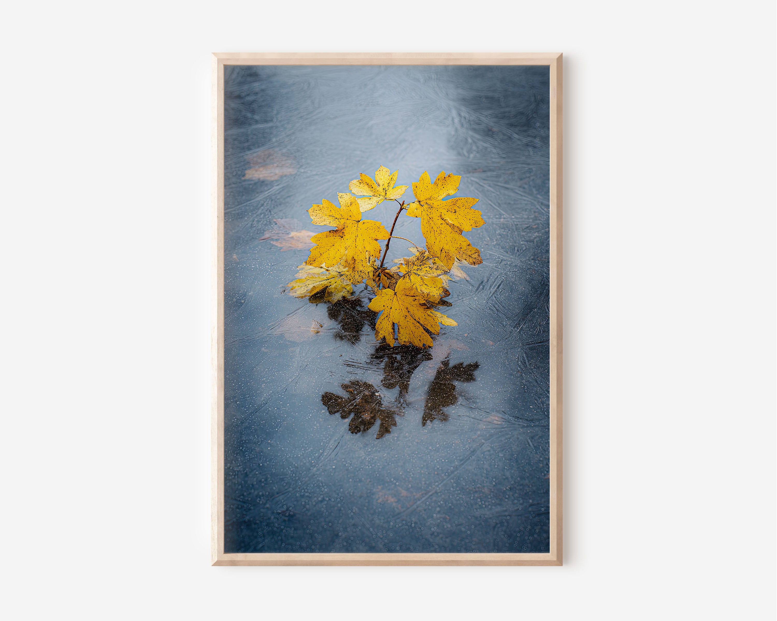 Autumn Leaves Frozen Ice Print | Yellow Maple Leaf Winter Wall Art | Minimalist Nature Macro Landscape Photography Poster