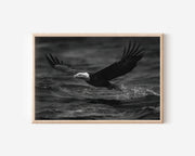 Bald Eagle Black & White Wildlife Wall Art