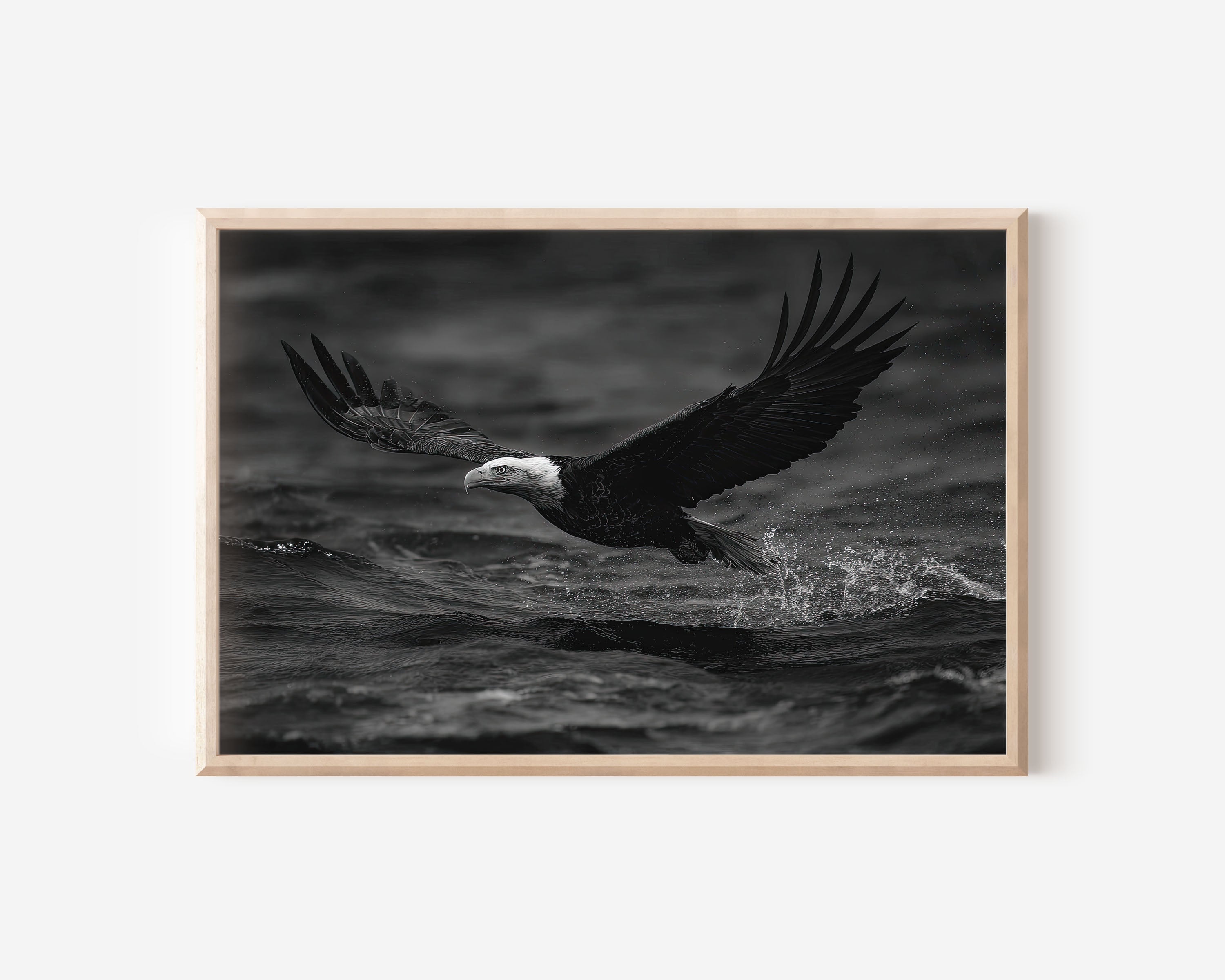 Bald Eagle Black & White Wildlife Wall Art