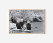 Bald Eagles Wall Art – Winter River Wildlife Photography Print