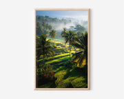Bali Rice Terraces Wall Art – Tropical Landscape Canvas Print, Lush Green Nature Decor