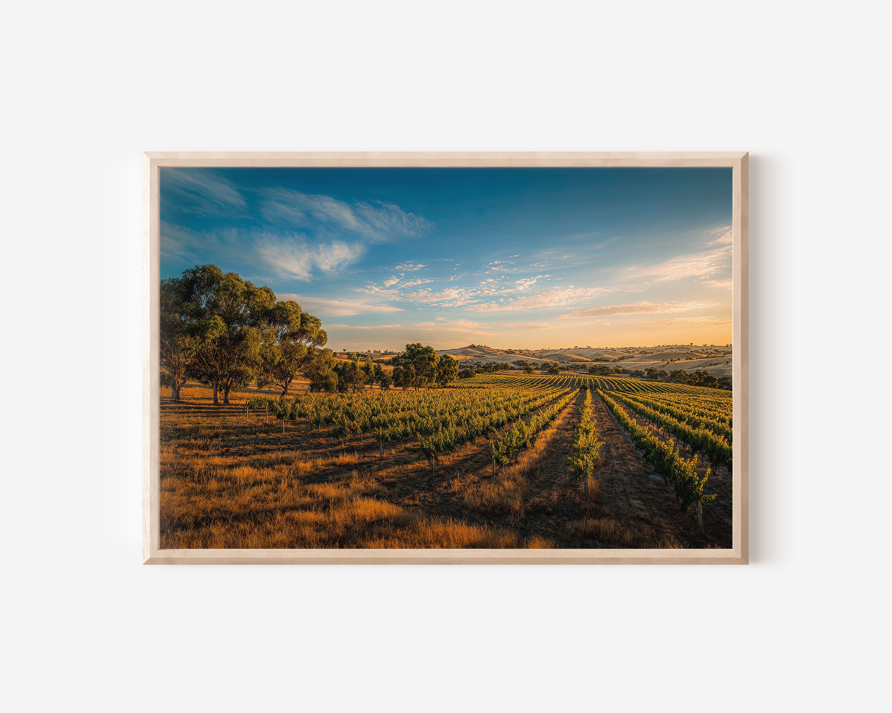 Barossa Valley Vineyard Wall Art Print | Australia Wine Country