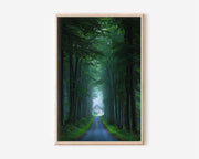 Beech Forest Road Cottage Print | Enchanted Forest Path Wall Art | Dark Green Misty Tree Tunnel Landscape Photography Poster