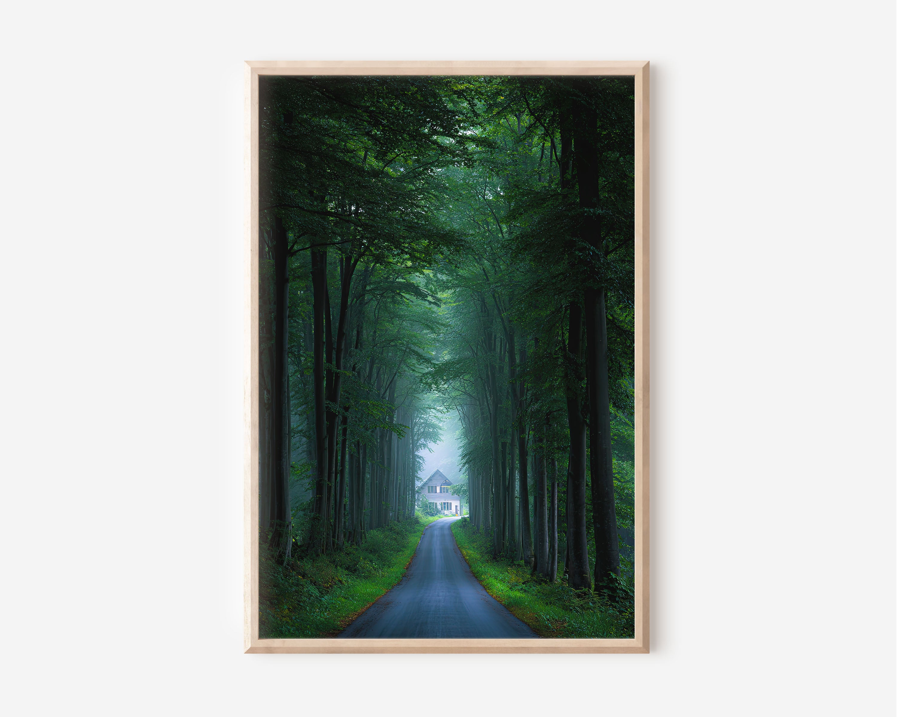 Beech Forest Road Cottage Print | Enchanted Forest Path Wall Art | Dark Green Misty Tree Tunnel Landscape Photography Poster
