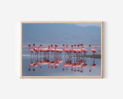 Blush Horizon – Flamingos at Lake Natron Wall Art Print