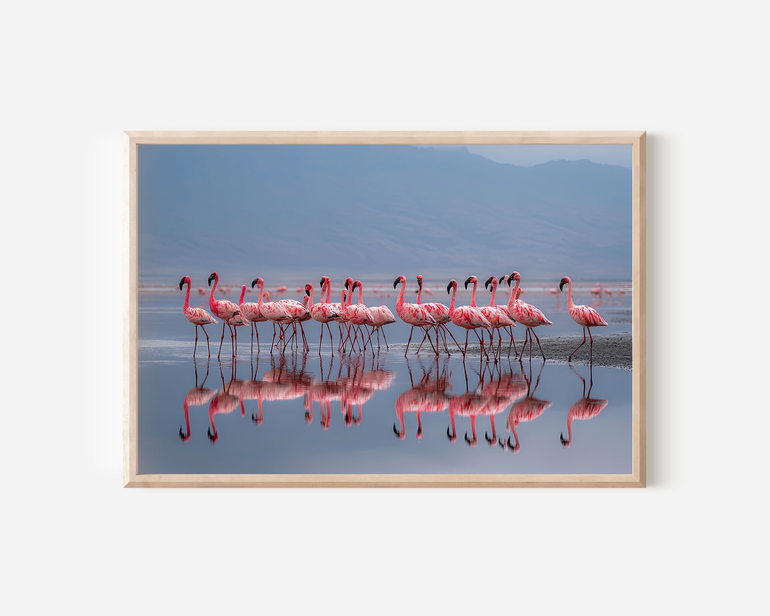 Blush Horizon – Flamingos at Lake Natron Wall Art Print