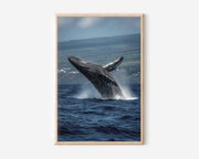 Breaching Humpback Whale Wall Art Print – Ocean Wildlife Canvas & Framed Coastal Decor