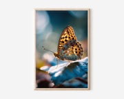 Butterfly Macro Bokeh Wall Art Print | Golden Fritillary Nature Close-Up Photography | Teal Bokeh Wildlife Poster