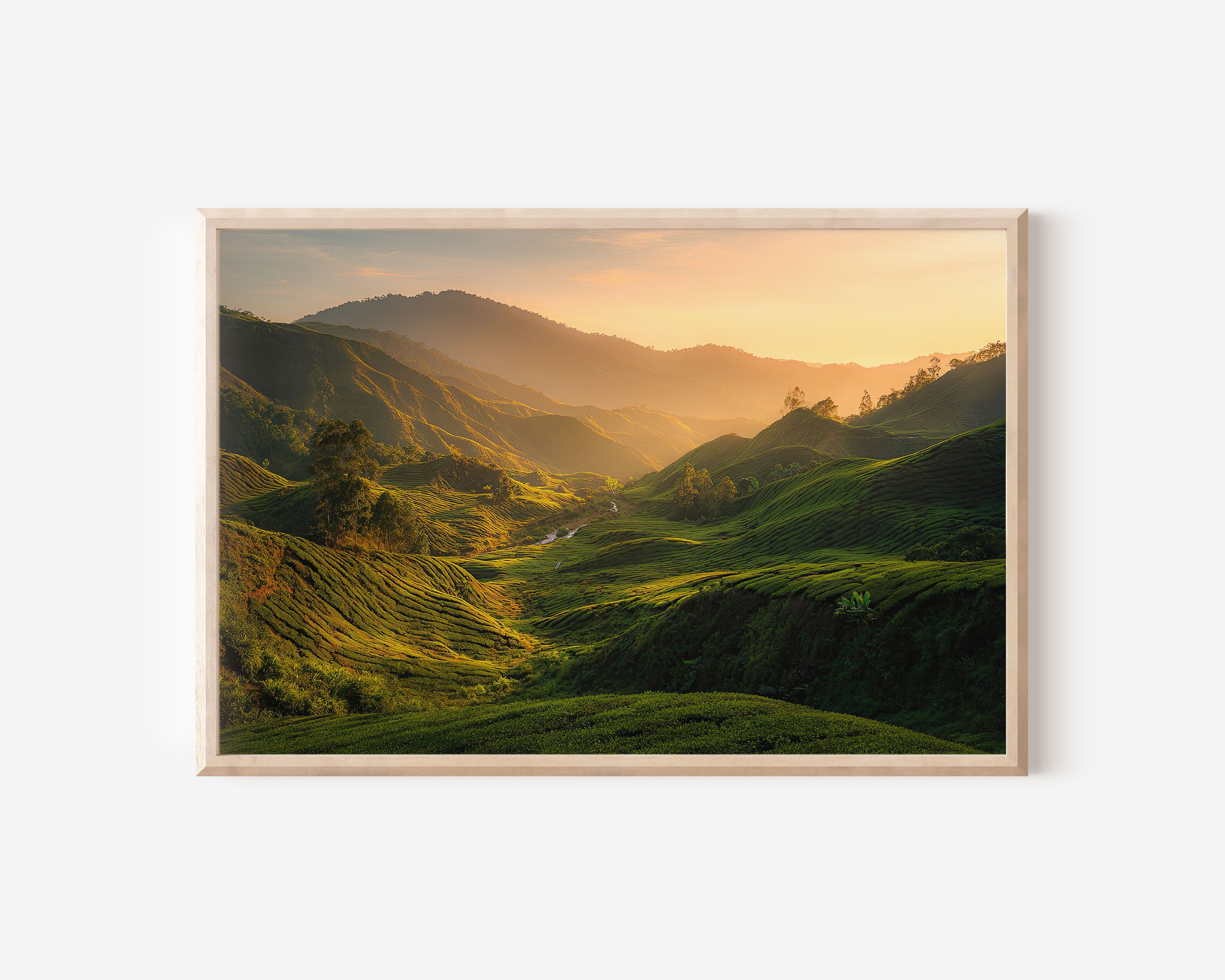 Cameron Highlands Sunrise Wall Art Print – Malaysia Tea Plantation Landscape