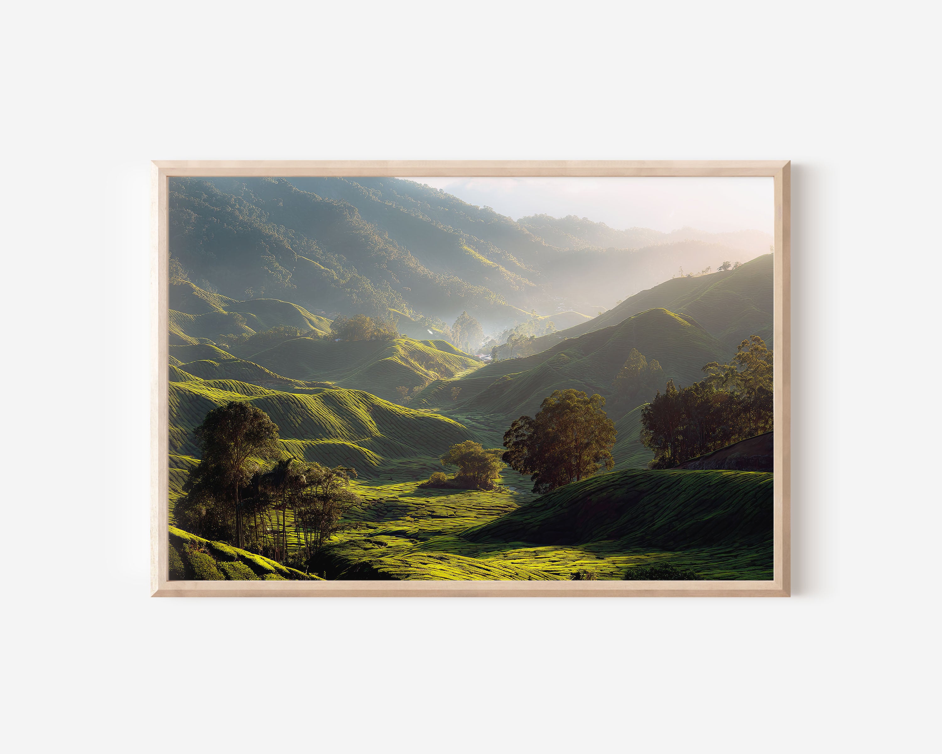 Cameron Highlands Tea Fields Wall Art Print – Malaysia Green Landscape Canvas