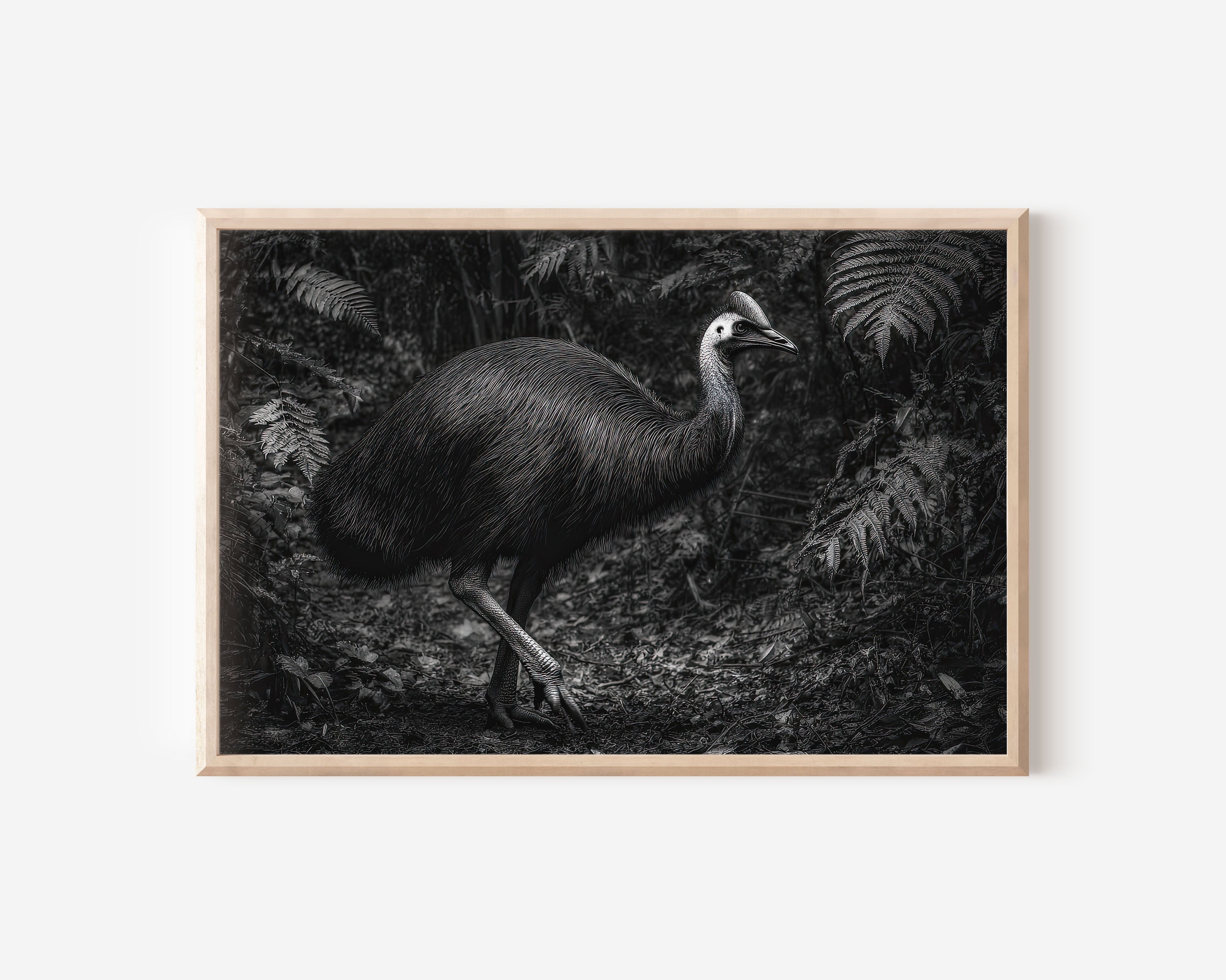 Cassowary Black & White Wildlife Wall Art