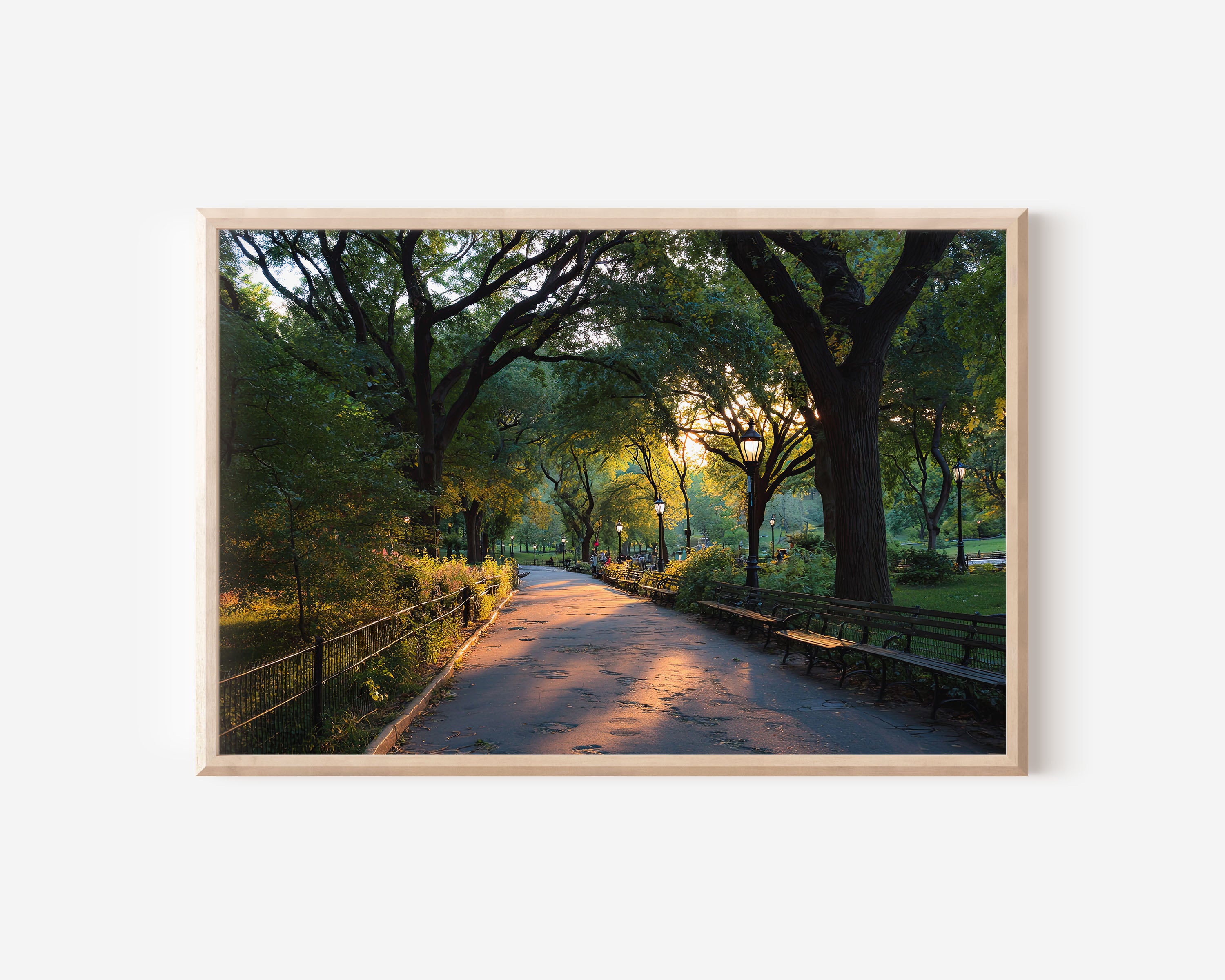 Central Park Sunset Pathway Wall Art Print – New York Nature Canvas