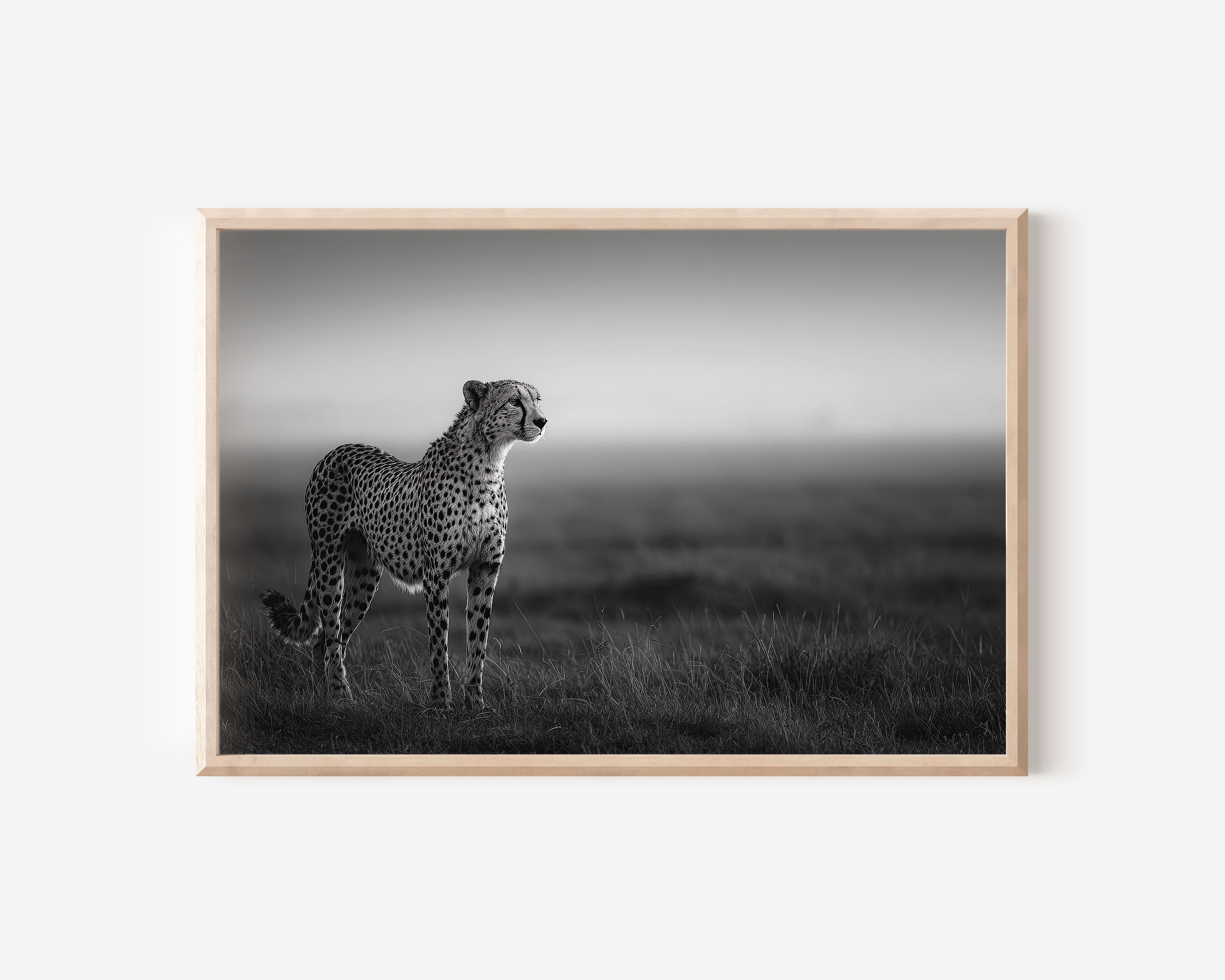 Cheetah Black & White Wildlife Wall Art Print