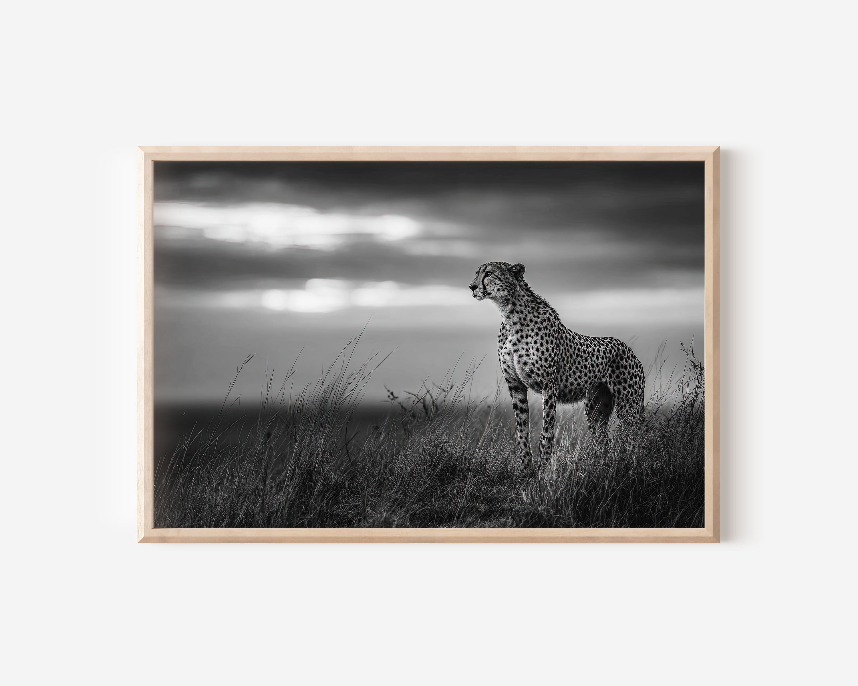 Cheetah in the Wild Black & White Wildlife Wall Art