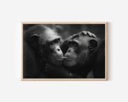 Chimpanzee Portrait Black & White Wildlife Wall Art