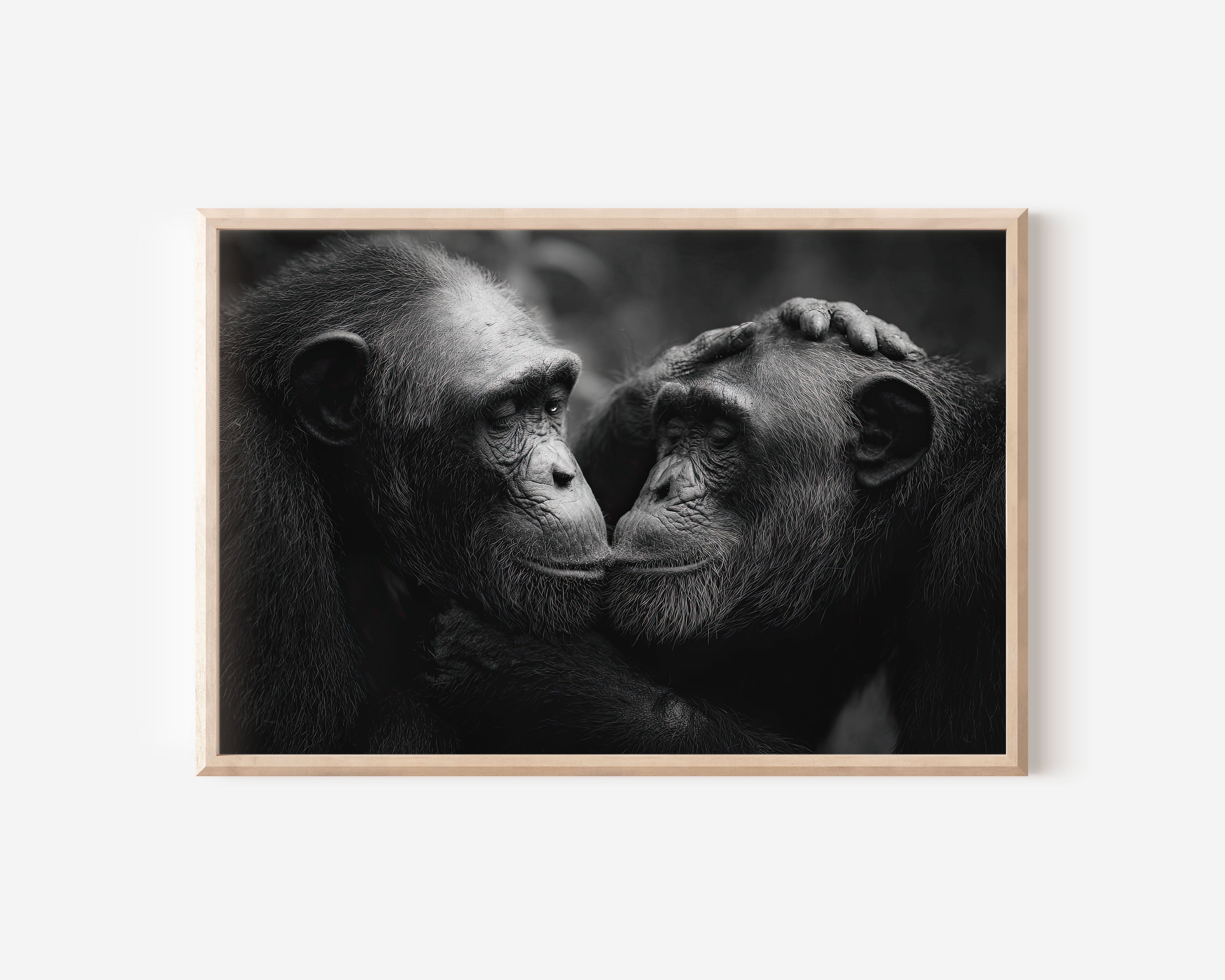 Chimpanzee Portrait Black & White Wildlife Wall Art