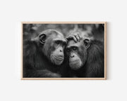 Chimpanzee Connection Black & White Wildlife Wall Art