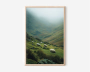 Grazing Sheep Highland Valley Wall Art Print | Ireland Wales Countryside Photography | Misty Green Mountain Pastoral Poster