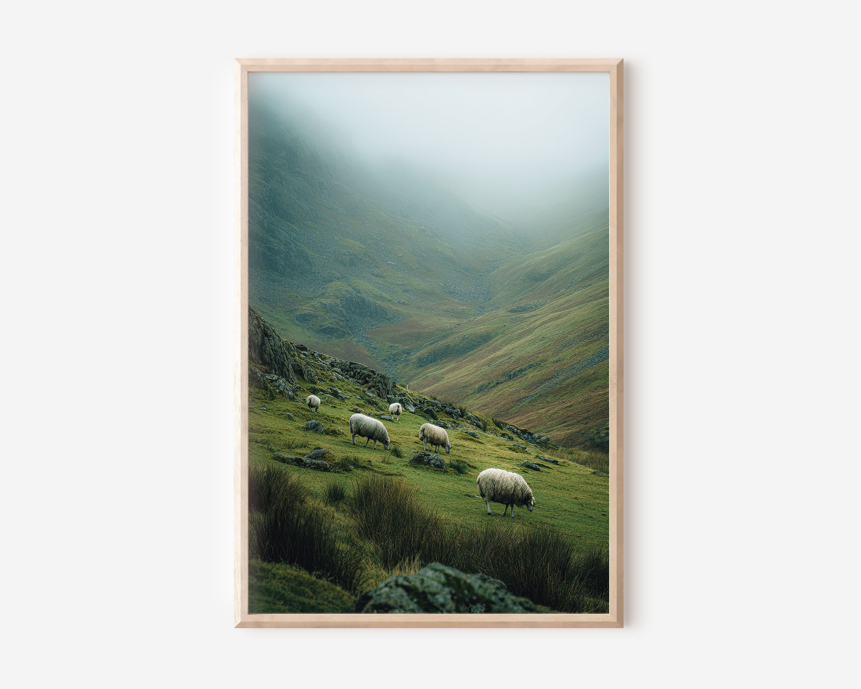 Grazing Sheep Highland Valley Wall Art Print | Ireland Wales Countryside Photography | Misty Green Mountain Pastoral Poster