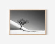 Dead Camelthorn Tree Namib Desert Print | Black and White Dune Wall Art | Deadvlei Namibia Photography